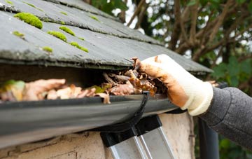 gutter cleaning Greengate