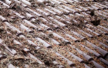 Greengate roof cleaning companies